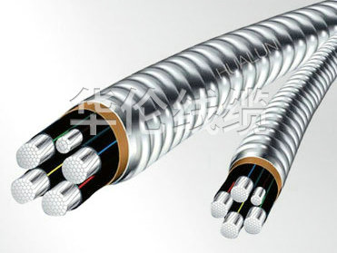 铝合金电缆 (7).jpg